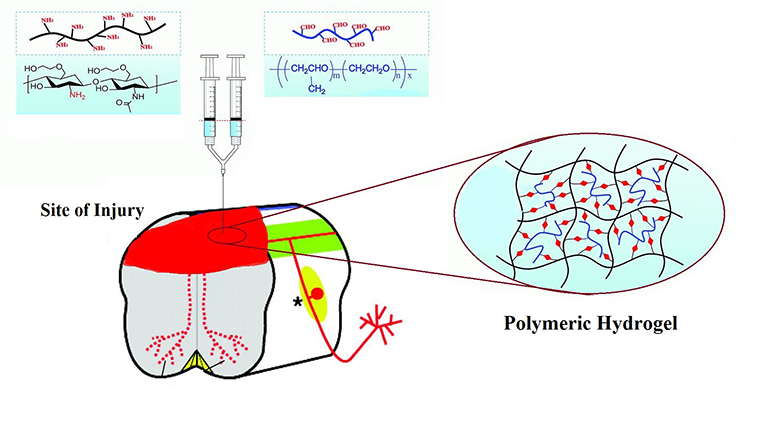 Hydrogels